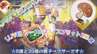 参加型【Apex】8歳キノコランク頑張る！【エーペックス】