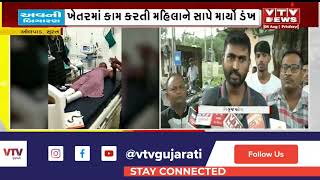 Surat News: સુરતના ઓલપાડમાં ઝેરી રસેલ વાઈપર સાપનુ બચ્ચું મહિલાને કરડ્યું | VTV Gujarati