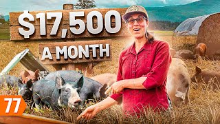 Starting a $188K/year Pig Farm Business (from Scratch)