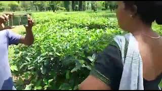 ক'ত কৰিছিলি ক'||Assamese #viral videos||romantic||outdoor cought camera||