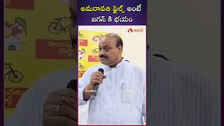 అమరావతి ఫైల్స్ అంటే జగన్ కి భయం - Atchannaidu #amaravathifiles #tdp #ysjagan #telugunews #aadhan