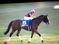 競馬　2012　第３２回　ジャパンカップ　最強馬　ジェンティルドンナ