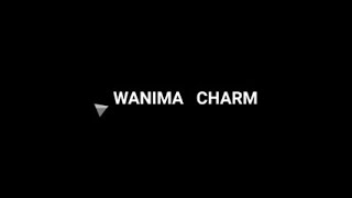 WANIMA   CHARM   耐久