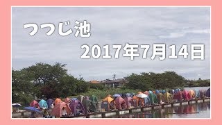 【へらぶな釣り】本日のつつじ池｜岐阜県海津市