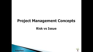 Difference between Risk & Issue