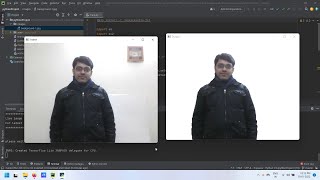 Live image background remover | Python programming