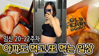 임산부일기📙임신20-22주차ㅣ아파도 몸무게가 느는 임신 황금기의 먹고 또 먹는 일상 기록😂