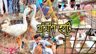 বানতলা হাটে পাখি ও খরগোশের দাম | Animal India