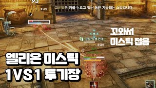 엘리온 미스틱 1 vs 1 투기장