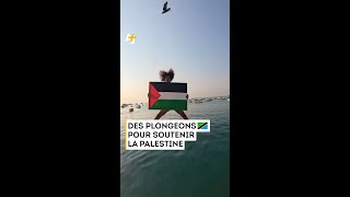 DES PLONGEONS POUR SOUTENIR LA PALESTINE