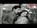 నన్ను వదిలి నీవు పోలేవు లేవు లే nannu vadili neevu polevule manchi manasulu old telugu song