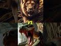 #animals #lion #tiger #viralvideo #viralshort#ularphiton #mammoottymoviescene#beruang