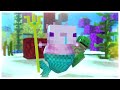 Save The Turtle😡🐢 &  Parotter Minecraft best funny Animation