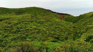 【八丈富士山頂】内側の景色（カルデラ）