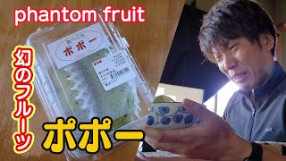 幻のフルーツ　ポポー　を食べた感想　I ate a phantom fruit