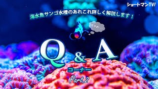 久々のQ\u0026Aコーナー!海水魚サンゴ水槽のあれこれ詳しく解説します！ショートマンTV!!PART2