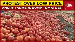 Maharashtra: Farmers Dump Tomatoes During Protest At Nagpur-Mumbai Highway