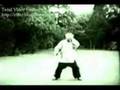 Fu Zhong Wen performing Yang Style Taiji 1a