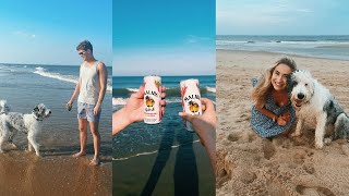 Weekend Beach Trip: Dewey Beach, Kylo sheepadoodle puppy's first time swimming, dog friendly vaca!