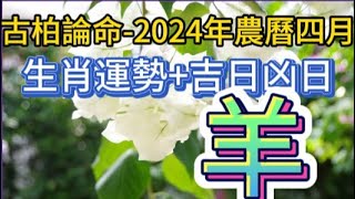 【古柏論命每月運勢+吉日凶日】2024年農曆四月(陽曆2024年5/8 ~ 6/5)生肖運勢分享 -  羊