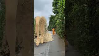 Big sand sculpture catwalk-3🤯3D special effects Green screen | #youtubeshorts #shorts