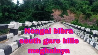 Nongal rebaniko vlog video