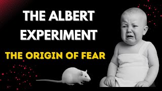 The Little Albert Experiment 🧸 How We Learn to Fear