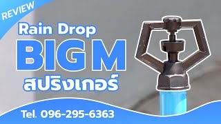 สปริงเกอร์โครงเหลี่ยม Rain Drop รุ่น BIG M