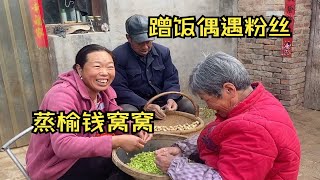 河南小姑娘农村蹭饭 偶遇粉丝热情招待 蒸的榆钱窝窝真好吃