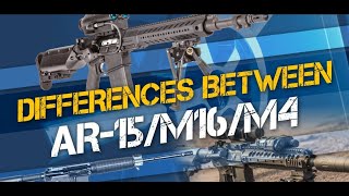 AR-15 vs M4 vs M16: Key Differences Explained! KEEP WATCHING