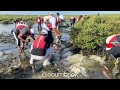 goumbook x vsl middle east mangrove planting ajman 2023 02 10