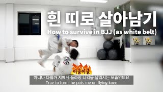 [vlog] How to survive in BJJ (as whitebelt) : spider \u0026 lasso control