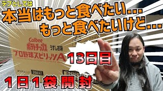 【プロチ新弾開封】１日１袋ずつ食べていくデブ【13日目】