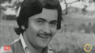O Hansini Meri Hansini | Video Song | Kishore Kumar Songs | Zehreela Insaan | Rishi Kapoor, Moushumi