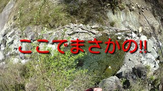 【テンカラ大魔王】西丹沢調査釣行記③～枯れた川の先に待っていたもの