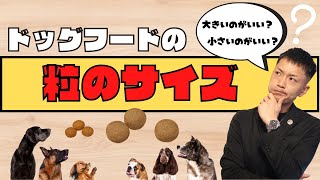 【ドッグフードの選び方】粒の大きさの違いを理解して、わんちゃんの好みに合わせよう！