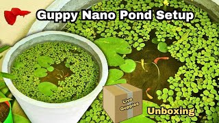 Guppy Nano Pond Setup | Live Exotic Guppies Unboxing | Flower Pot to Nano Pond (தமிழ்) #vhaquarium