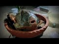 ഇതിലെ ചേമ്പിലയിൽ ഒരു ബോൻസായ് coconut tree bonsai tortoise shell craft malayalam coconuttree