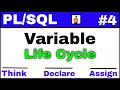 PL/SQL Tutorial #4: What are variables in PLSQL
