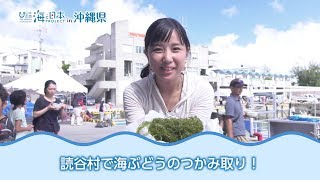 海DO宝～第22回おさかなフェスタ～ 日本財団 海と日本PROJECT in 沖縄県 2018 #20