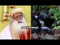 hilarious jokes and laughter on jumpy dead people sadhguru evpal