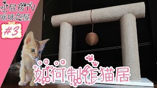 如何制作猫家具#3猫咪玩具（小屁孩）