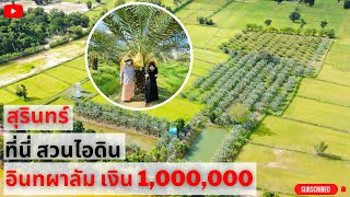 อินทผาลัม เงินล้าน เปลี่ยนจากที่นามาปลูกอินทผาลัม I PARADEE FARM