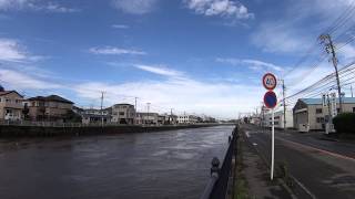 増水した柏尾川（古館橋側）