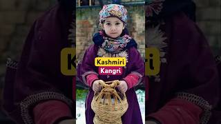 Kashmiri Kangri - this is how they survive winter in style #kashmir #kangri #winter #shorts #short