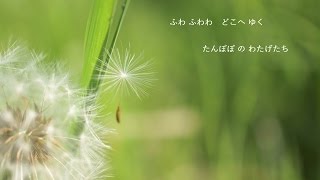 園児劇 脚本『わたげせんしゅけん』 より ～ 綿毛の歌 ～