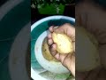 பஞ்சாபி தாபா ஆலு பரோட்டா சுடச்சுட செய்ங்க panjabi dhaba style aloo paratha shorts food viral