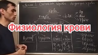 Физиология крови. Общая характеристика. Функция крови.#44