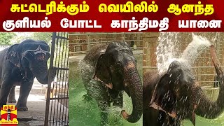 சுட்டெரிக்கும் வெயிலில் ஆனந்த குளியல் போட்ட காந்திமதி யானை