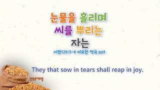 눈물을 흘리며 씨를 뿌리는 자는ppt(시편126:5-6/이요한 작곡) #ccm #Gospel